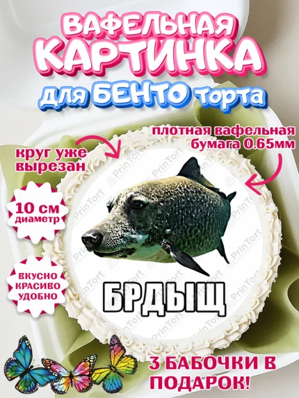 Вафельный круг для Бенто 10см, Брдыщ, Мем Брдыщ, Девочка, Без конкретного повода, арт. PT324417