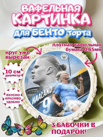 Вафельный круг для Бенто 10см, Холланд, Футболист Холланд, Девочка, Без конкретного повода, арт. PT326311