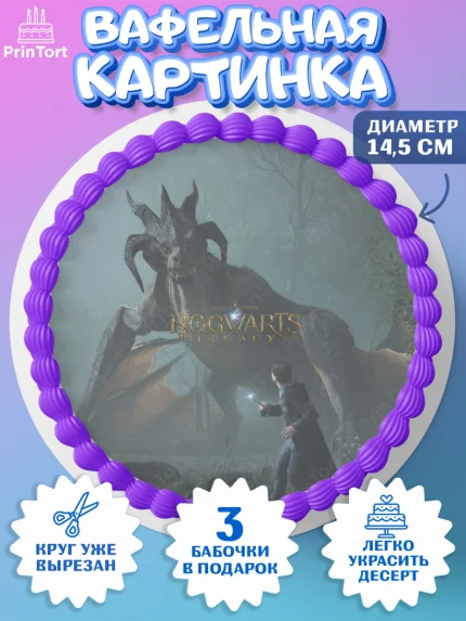 Вафельный круг 14.5см, Гарри Поттер, Хогвартс Легаси, Девочка, День рождения, арт. PT609673