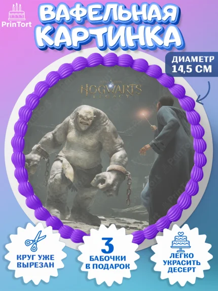 Вафельный круг 14.5см, Гарри Поттер, Хогвартс Легаси, Девочка, День рождения, арт. PT609681