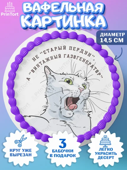 Вафельный круг 14.5см, Не старый пердун, кот, джип, монеты, звезды, Мальчик, День рождения, арт. PT616332