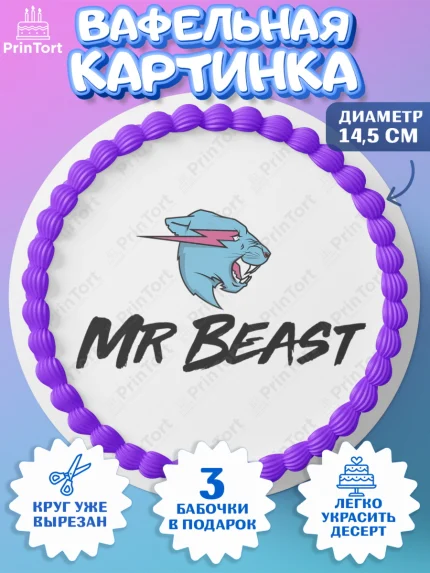 Вафельный круг 14.5см, Мистер Бист, mister beast, ютуб, youtube, Девочка, День рождения, арт. PT617026