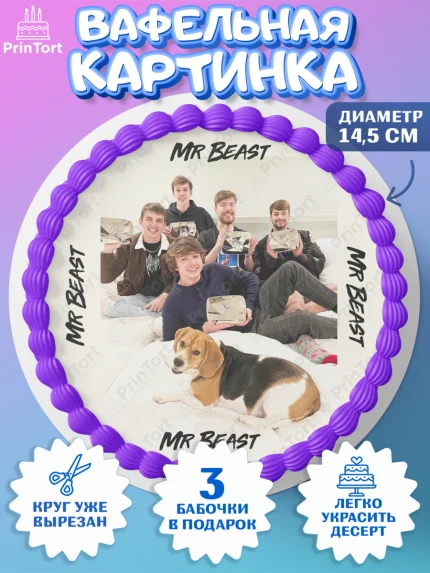 Вафельный круг 14.5см, Мистер Бист, mister beast, ютуб, youtube, Девочка, День рождения, арт. PT617027