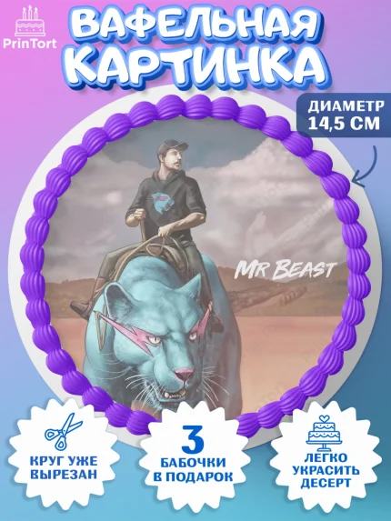 Вафельный круг 14.5см, Мистер Бист, mister beast, ютуб, youtube, Девочка, День рождения, арт. PT617031
