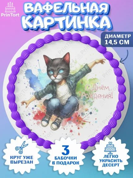 Вафельный круг 14.5см, Квадробика мальчики, мальчик, подросток, квадробика, маска кота, маска, арт. PT618860