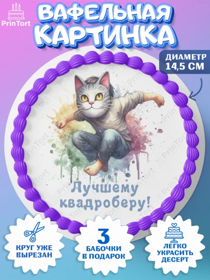 Вафельный круг 14.5см, Квадробика мальчики, мальчик, подросток, квадробика, маска кота, маска, арт. PT618864