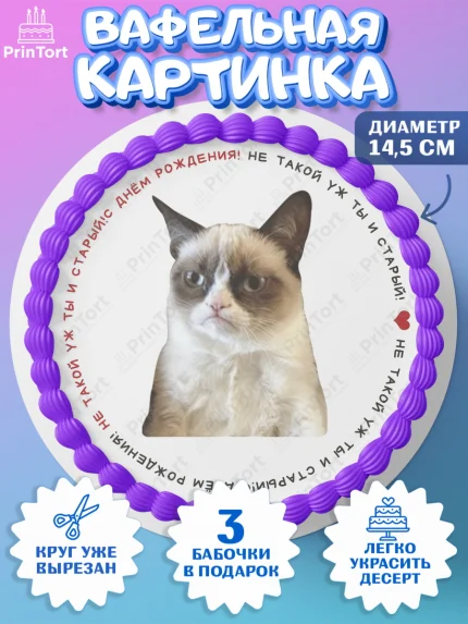 Вафельный круг 14.5см, Мемы и коты, кот, мемный кот, кошка, приколы, Девочка, День рождения, арт. PT619327
