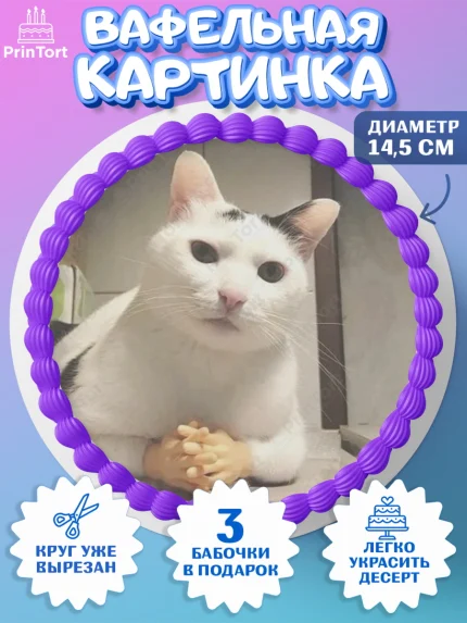 Вафельный круг 14.5см, Мемы и коты, кот, мемный кот, кошка, приколы, Девочка, День рождения, арт. PT619331