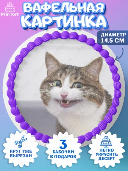 Вафельный круг 14.5см, Мемы и коты, кот, мемный кот, кошка, приколы, Девочка, День рождения, арт. PT619332