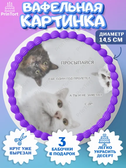 Вафельный круг 14.5см, Мемы и коты, кот, мемный кот, кошка, приколы, Девочка, День рождения, арт. PT619333