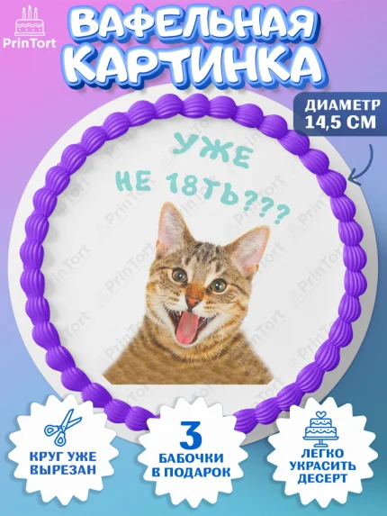 Вафельный круг 14.5см, Мемы и коты, кот, мемный кот, кошка, приколы, Девочка, День рождения, арт. PT619334
