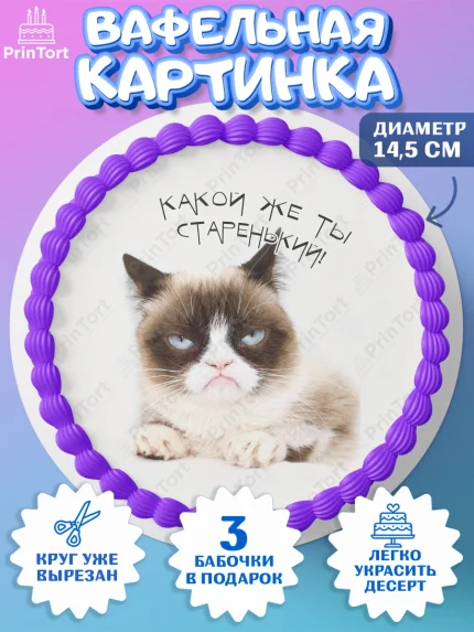 Вафельный круг 14.5см, Мемы и коты, кот, мемный кот, кошка, приколы, Девочка, День рождения, арт. PT619335