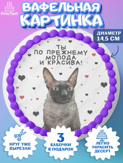 Вафельный круг 14.5см, Мемы и коты, кот, мемный кот, кошка, приколы, Девочка, День рождения, арт. PT619336