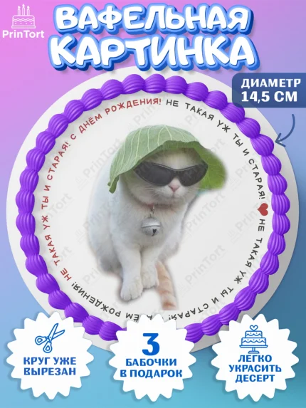 Вафельный круг 14.5см, Мемы и коты, кот, мемный кот, кошка, приколы, Девочка, День рождения, арт. PT619338