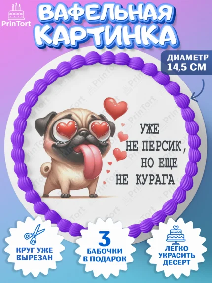 Вафельный круг 14.5см, Прикольная, приколы, мемы, Девочка, День рождения, арт. PT620096