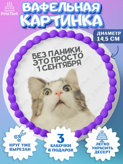 Вафельный круг 14.5см, 1 сентября, День знаний, снова в школу, первый раз в первый класс, арт. PT620135