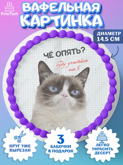 Вафельный круг 14.5см, 1 сентября, День знаний, снова в школу, первый раз в первый класс, арт. PT620136