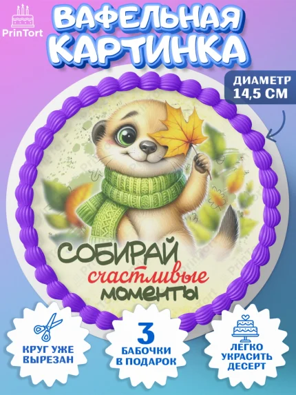 Вафельный круг 14.5см, День рождения, осень, осенняя пора, листья, девочка, осенние листья, арт. PT620215