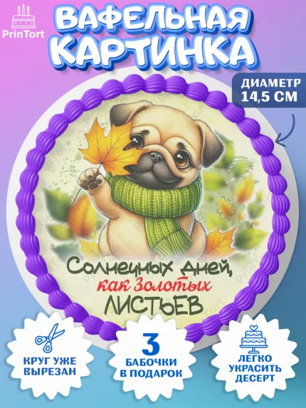Вафельный круг 14.5см, День рождения, осень, осенняя пора, листья, девочка, осенние листья, арт. PT620217