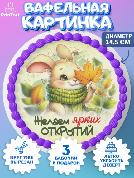 Вафельный круг 14.5см, День рождения, осень, осенняя пора, листья, девочка, осенние листья, арт. PT620218