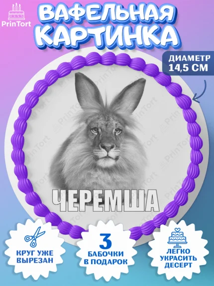 Вафельный круг 14.5см, Черемша, Мем Черемша, Девочка, Без конкретного повода, арт. PT623444