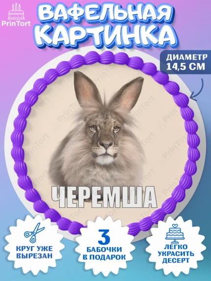 Вафельный круг 14.5см, Черемша, Мем Черемша, Девочка, Без конкретного повода, арт. PT623445