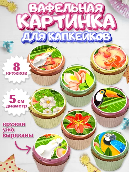 Вафельная картинка для капкейков, Путешествия, Путешественник, Мальчик, День рождения, арт. PT802362_2