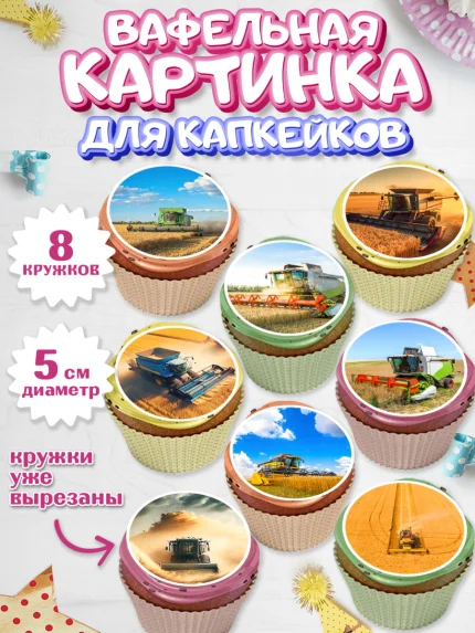Вафельная картинка для капкейков, Комбайнер, Девочка, День рождения, арт. PT813361_1