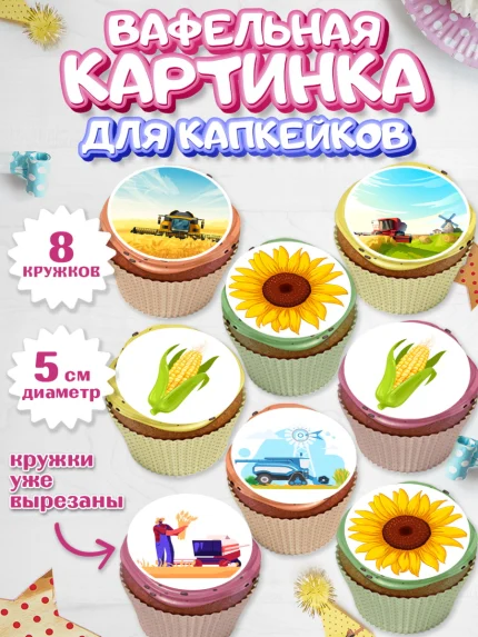 Вафельная картинка для капкейков, Комбайнер, Девочка, День рождения, арт. PT813370_1
